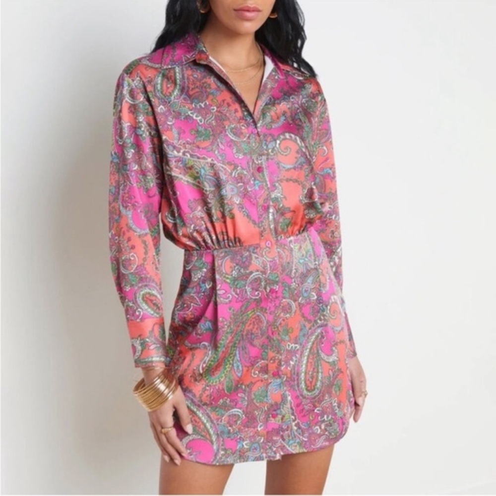 L’AGENCE Dress Demetria Button Down Pleated Mini in Paisley